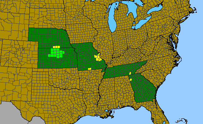 The range of Clematis fremontii